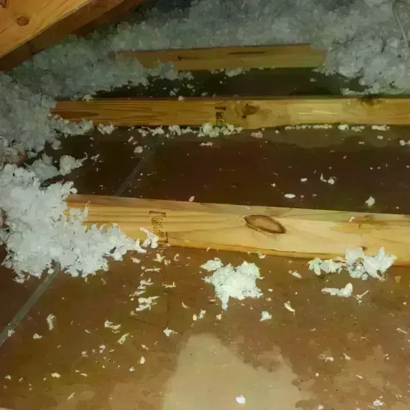 Attic Water Damage in Trotwood, OH