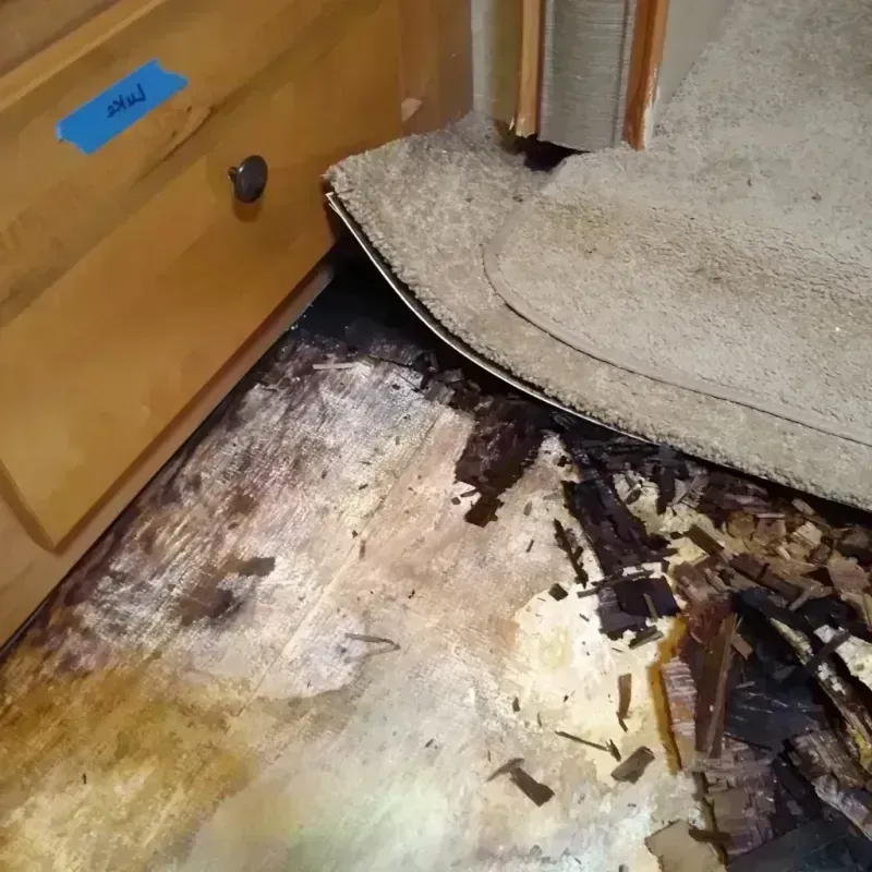 Wood Floor Water Damage in Trotwood, OH